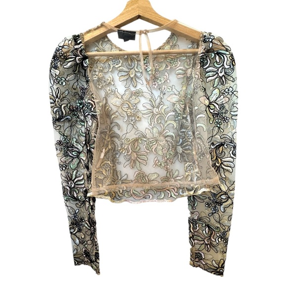 Topshop Embroidered Sheer Floral Lace Blouse - Picture 5 of 12
